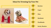 300053-National-Dress-Up-Your-Pet-Day_28
