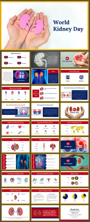 World Kidney Day Presentation and Google Slides Themes