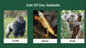 300071-Zoo-Lovers-Day_20