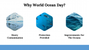 300072-World-Ocean-Day_27
