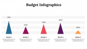 300077-Budget-Infographics_02