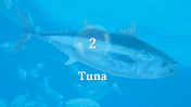 300106-World-Tuna-Day_06