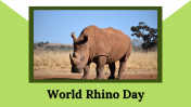 300111-World-Rhino-Day_01