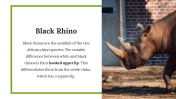 300111-World-Rhino-Day_25