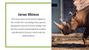 300111-World-Rhino-Day_29