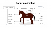 300112-Horse-Infographics_14