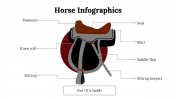 300112-Horse-Infographics_16