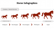 300112-Horse-Infographics_24