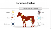 300112-Horse-Infographics_30