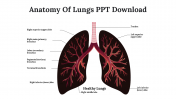 Easy To Use Predesigned Anatomy Of Lungs PPT Download