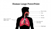 Easy To Customizable Human Lungs PowerPoint Template 
