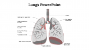 Attractive Lungs PowerPoint And Google Slides Template