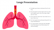 Easy To Editable Lungs Presentation And Google Slides