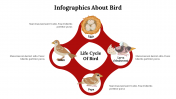 Infographics About Bird PowerPoint And Google Slides