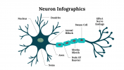 300262-Neuron-Infographics_02