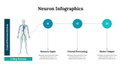 300262-Neuron-Infographics_04