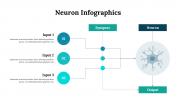 300262-Neuron-Infographics_07