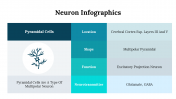 300262-Neuron-Infographics_08