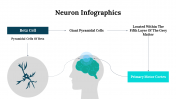 300262-Neuron-Infographics_11