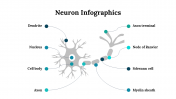 300262-Neuron-Infographics_25