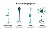 300262-Neuron-Infographics_29