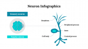 300262-Neuron-Infographics_30