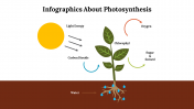 Infographics About Photosynthesis PPT And Google Slides