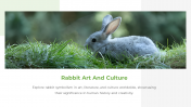 300479-International-Rabbit-Day_13
