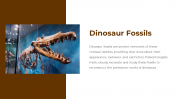 300518-National-Fossil-Day_04