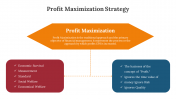 300669-Profit-Maximization-Strategy_06