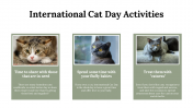 400069-International-Cat-Day_13
