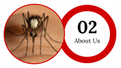 400089-World-Malaria-Day_07