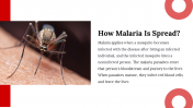 400089-World-Malaria-Day_11
