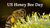 US Honey Bee Day PPT Presentation And Google Slides