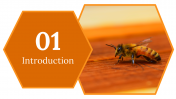 400091-US-Honey-Bee-Day_03