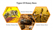 400091-US-Honey-Bee-Day_06