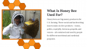 400091-US-Honey-Bee-Day_10