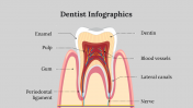 400098-Dentist-Infographics_05
