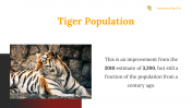 400169-International-Tiger-Day_11