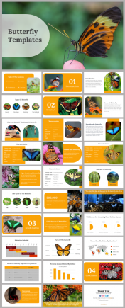 Butterfly Templates PowerPoint And Google Slides Themes