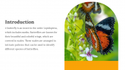 400359-Butterfly-Templates_04