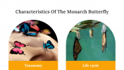 400359-Butterfly-Templates_08