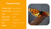 400359-Butterfly-Templates_09