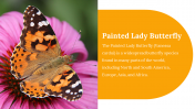 400359-Butterfly-Templates_12
