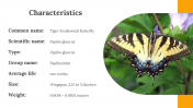 400359-Butterfly-Templates_15