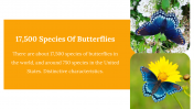 400359-Butterfly-Templates_21