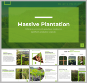 Massive Plantation Presentation and Google Slides Themes