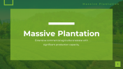 400415-Presentation-On-Massive-Plantation_01