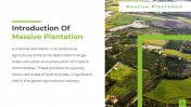400415-Presentation-On-Massive-Plantation_02