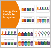 Energy Flow Models In Ecosystem PPT and Google Slides Themes